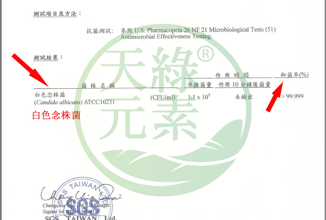 白色念株菌.jpg 白色念株菌.jpg