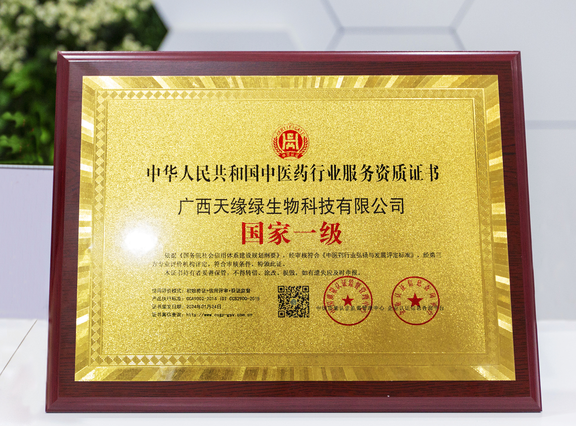 2024年-天緣綠集團榮譽